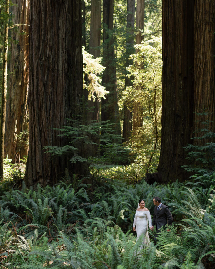 A couple experiencing on of the benefits of eloping: privacy. While eloping in Redwoods National Park amongst giant redwoods and magical ferns.