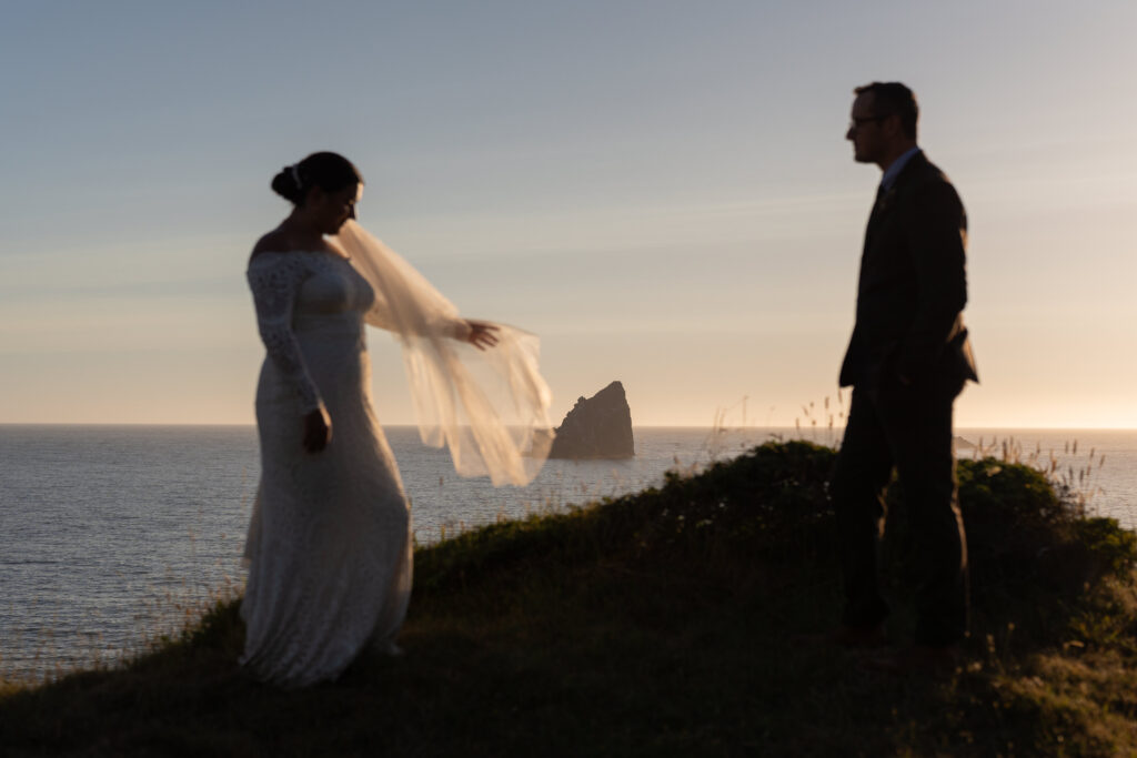 Crook Point wedding photos at sunset. 