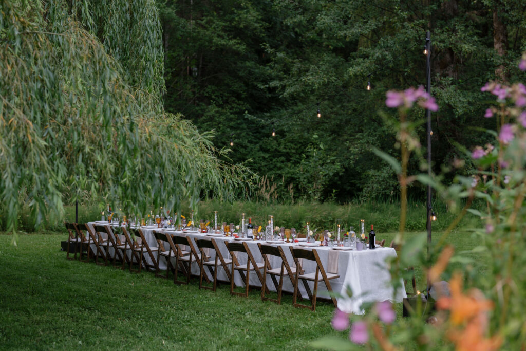 micro wedding backyard dinner reception