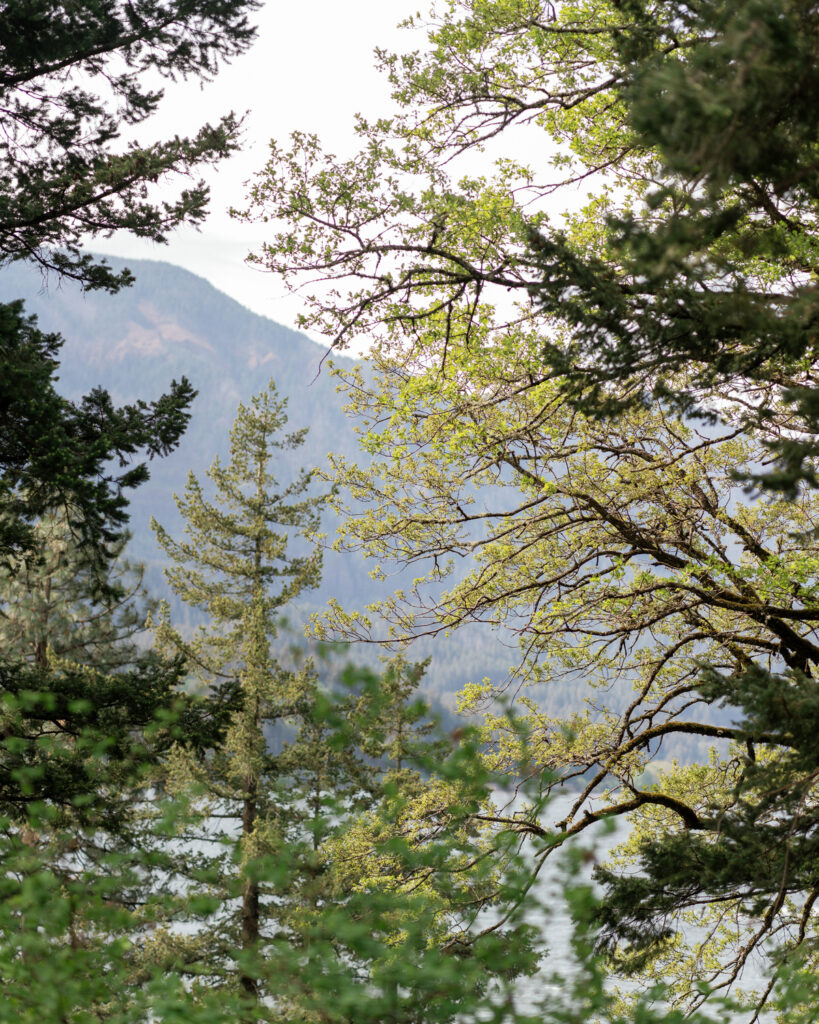 oregon micro wedding venue view of the columbia river gorge