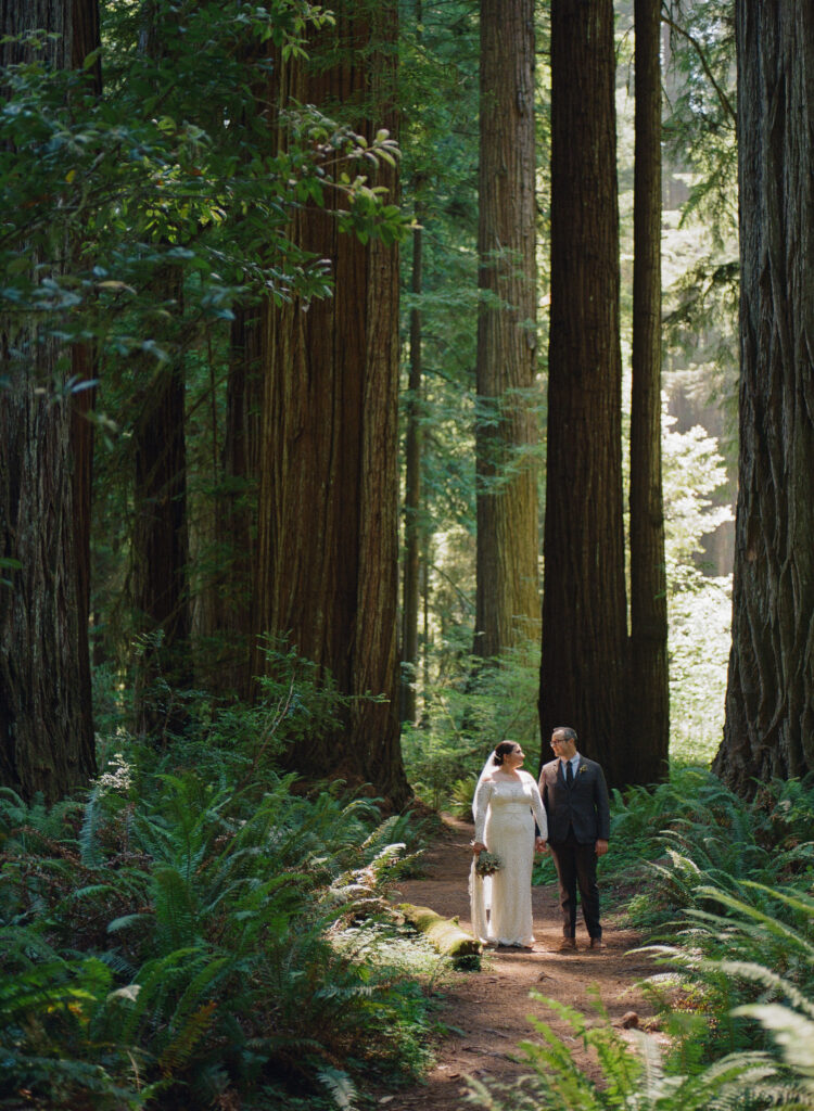 film wedding photography in redwoods national park