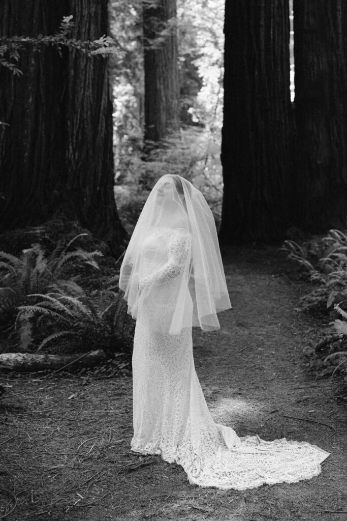 bride portrait redwoods elopement