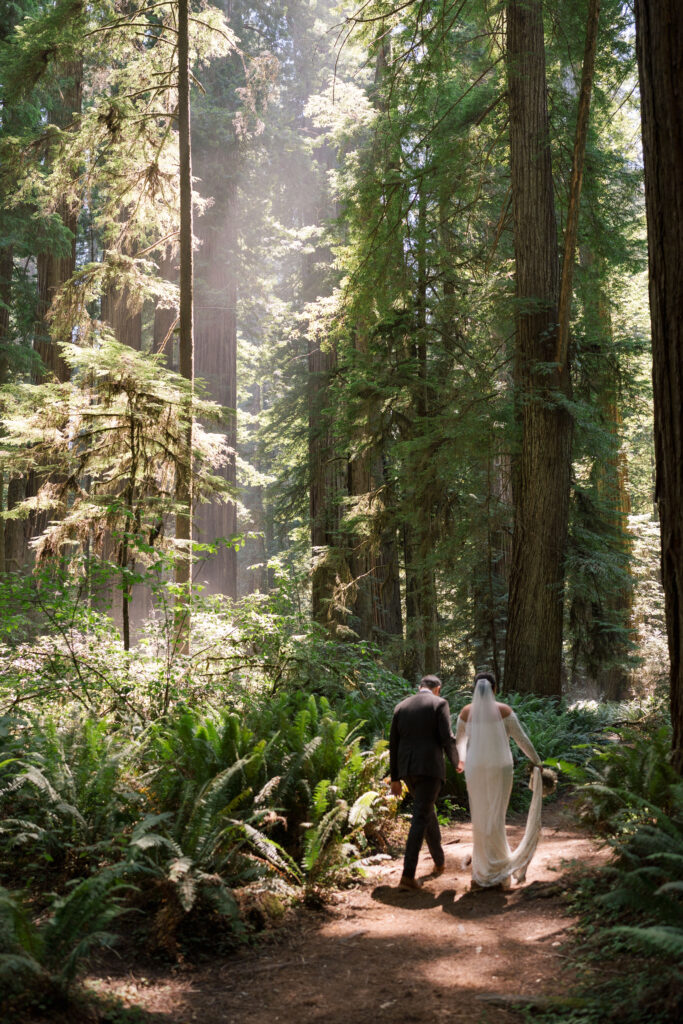 eloping in the redwoods