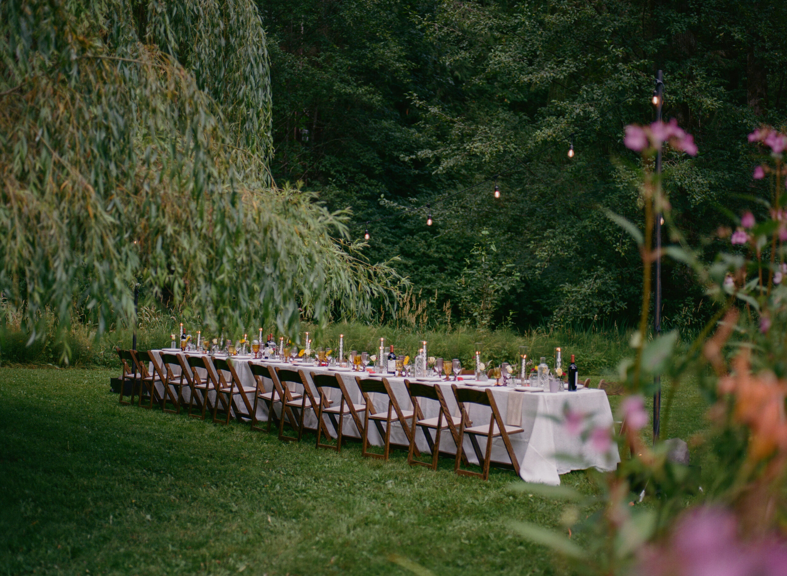 Backyard small wedding reception in the North Cascades