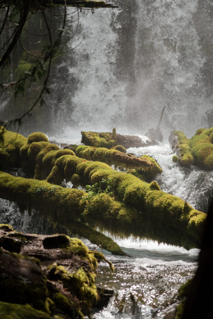 proxy falls oregon wedding