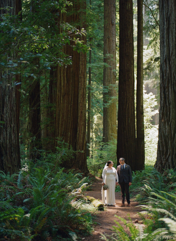 redwood forest elopement film photos